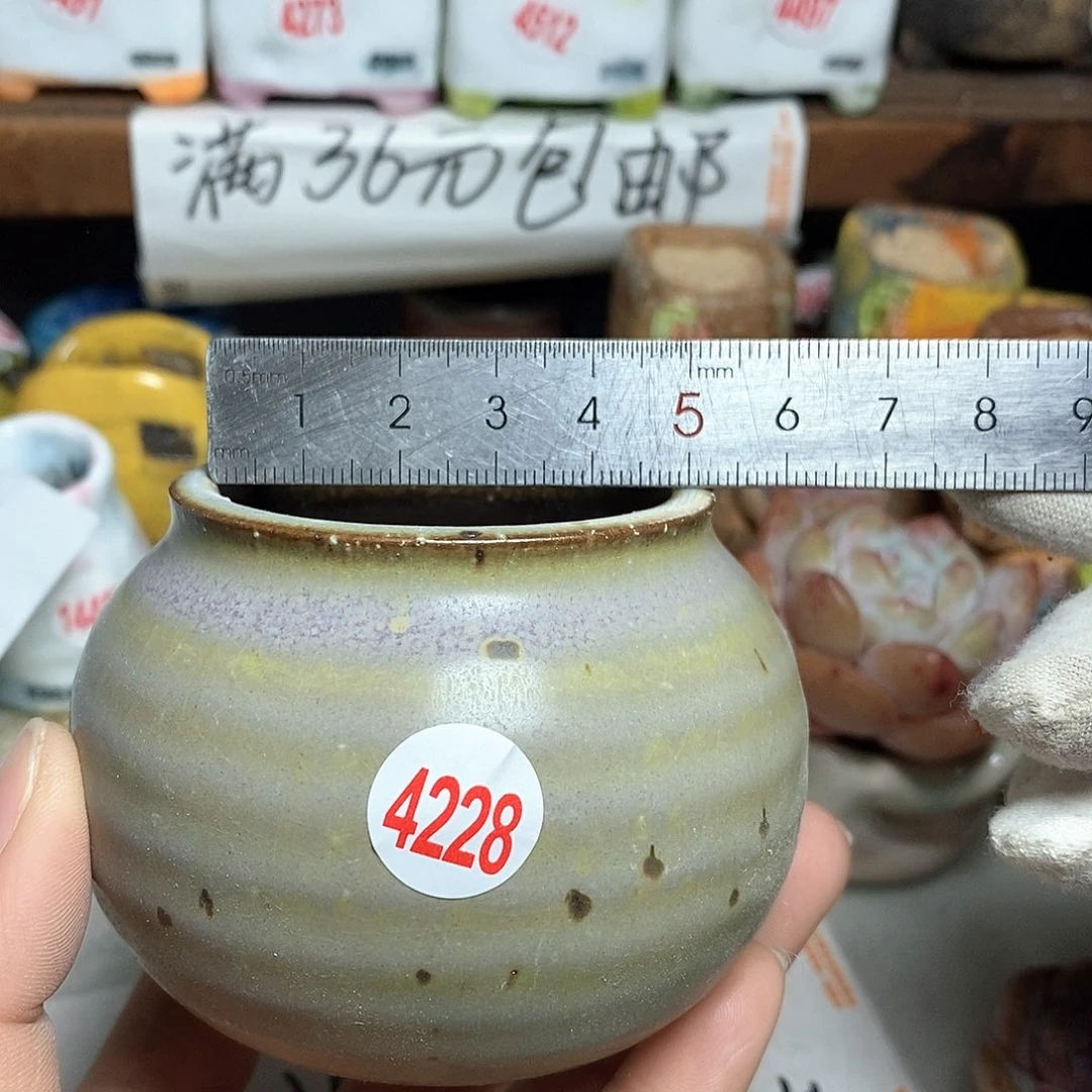 红陶拍5送一个小