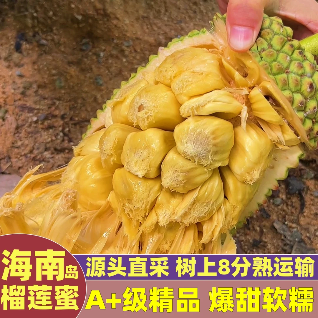 海南榴莲蜜一整个现摘新鲜热带水果软糯香甜湿包菠萝包邮