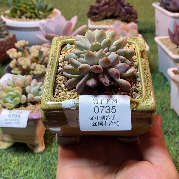 0735啊啊啊啊啊啊啊啊啊