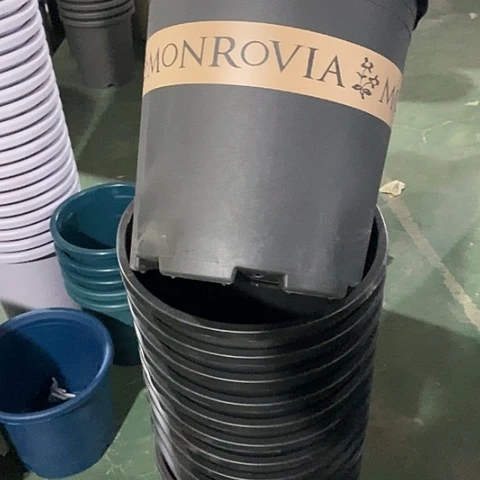 树脂瑕疵6加仑5个无托黑色