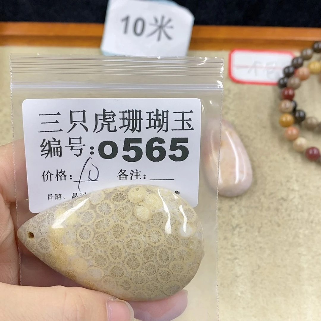 硅化珊瑚（珊瑚玉）1未镶嵌半*?