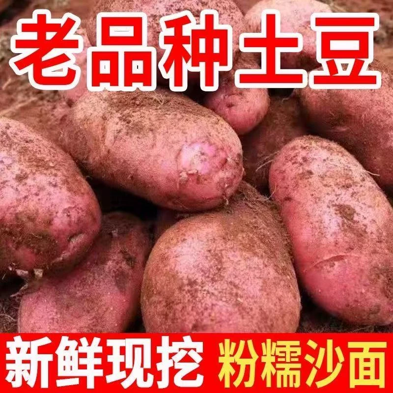 云南高原红皮黄心土豆新鲜现挖粉面糯香农家自种一整箱包邮