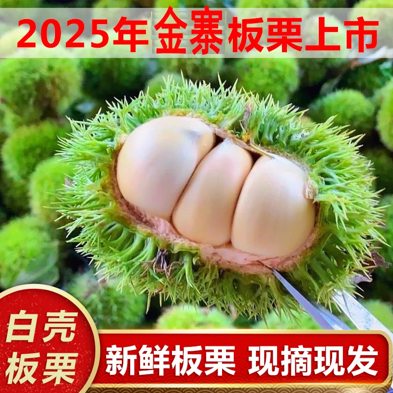 金寨板栗2025新鲜带壳白皮嫩板栗生栗子油栗板栗仁毛栗子花壳栗子