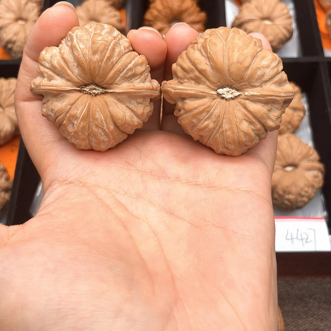 文玩核桃吊坠44超精一字椭圆凹底，近正肩4439