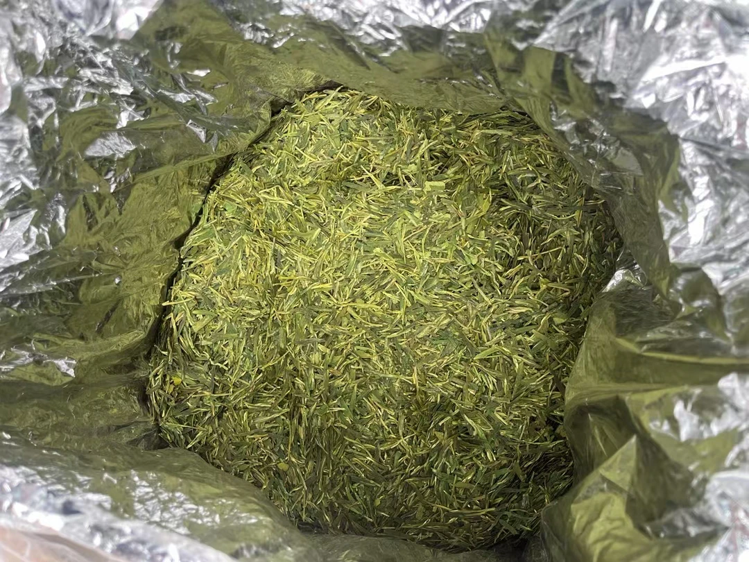 【龙井口粮】豆香罐装