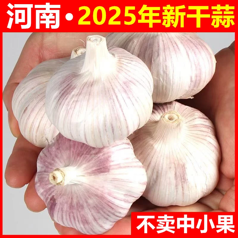 【只卖精品大果】河南紫皮鲜干蒜农家自种大蒜自然晒干鲜蒜头腊八蒜