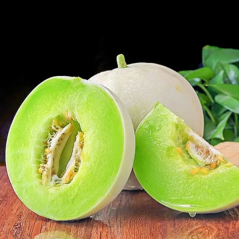 【聚农果业】正宗山东玉菇甜瓜冰淇淋甜瓜哈密瓜当季新鲜批发水果 两个装4.5-5斤