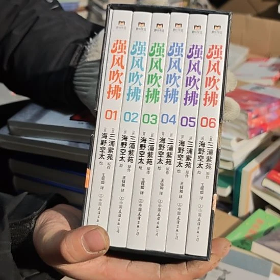 强风吹拂一套库存书（务必塑封）