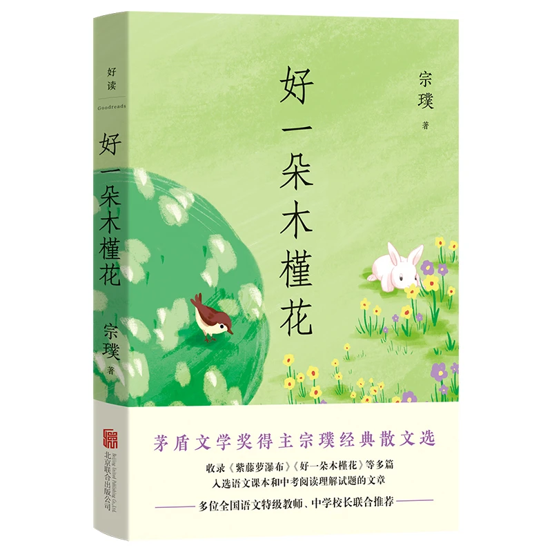 【当当】好一朵木槿花好一朵木槿花