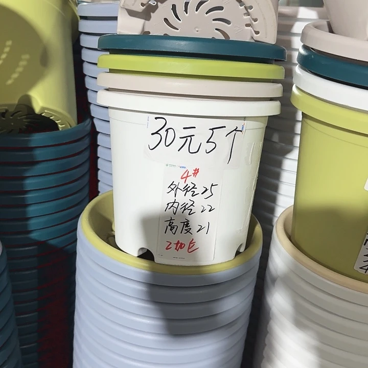 四季4#口径25高21无托果绿8个