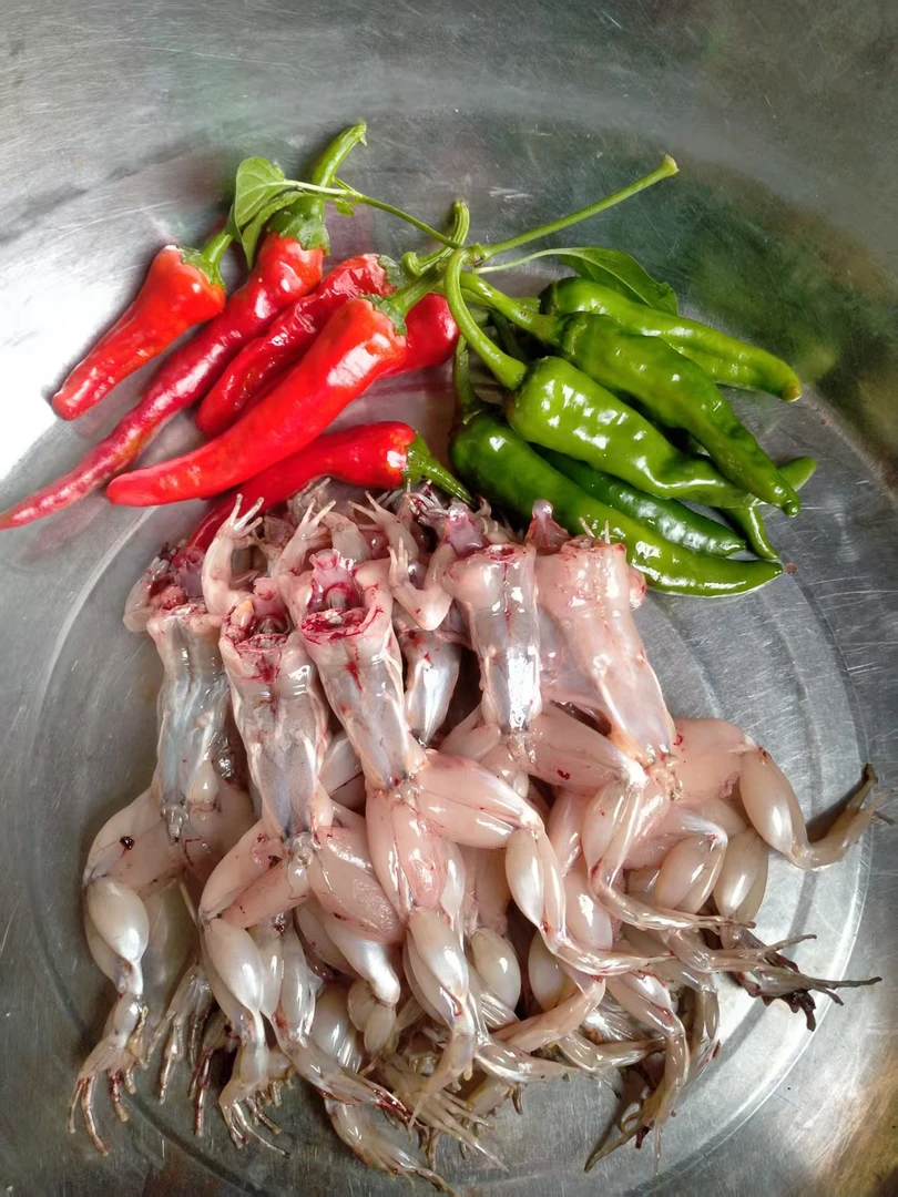 生态养殖稻田蛙鲜蛙肉正宗青蛙肉田鸡冷鲜发货