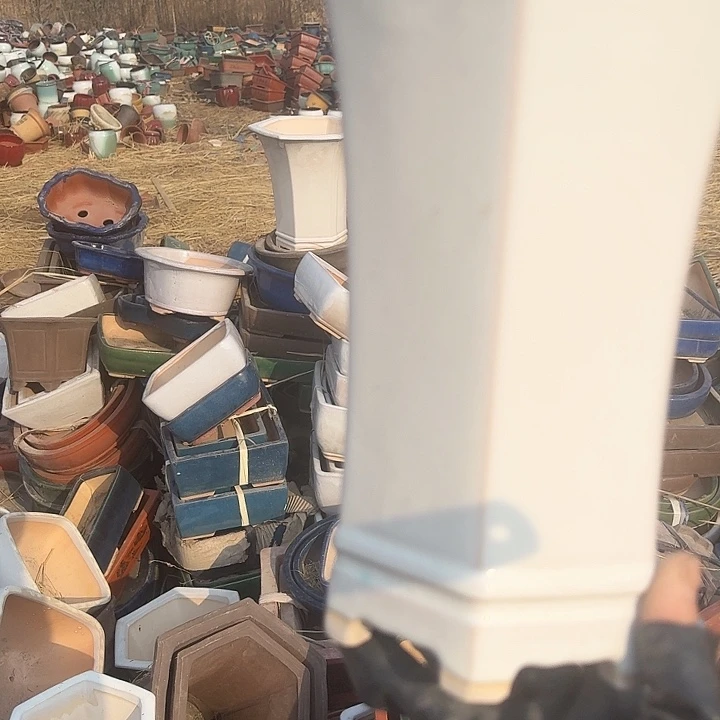 紫砂之光和青石也将迎送