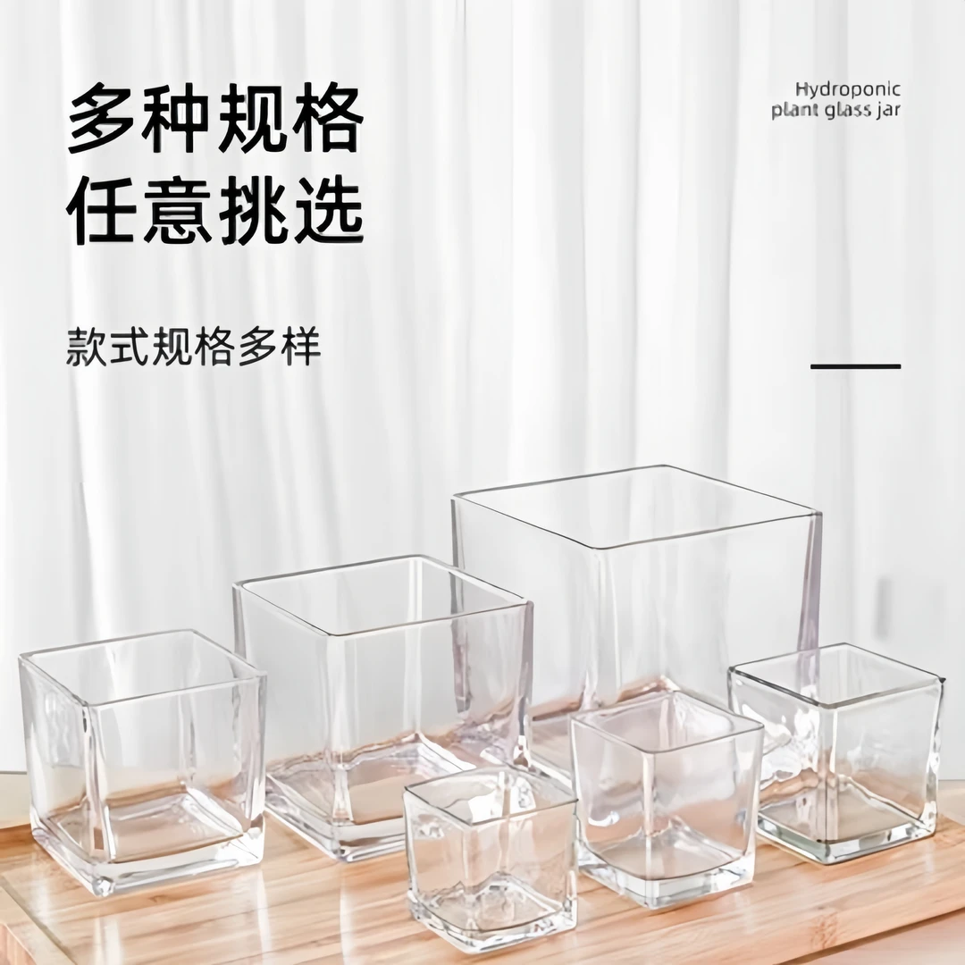 郁金香水培容器透明方缸玻璃花瓶简约百搭水培花盆正方形桌面摆件
