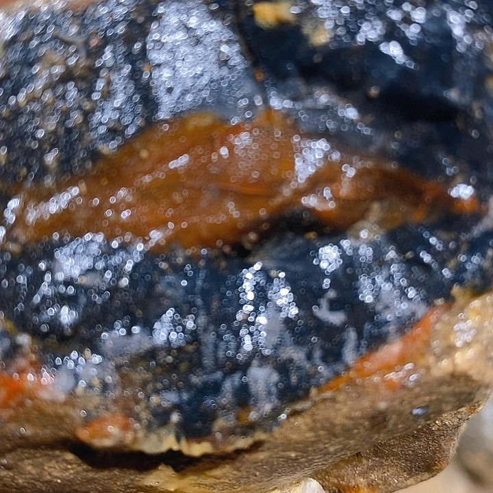 定制玛瑙黑*鱼好咯哦呜图图了