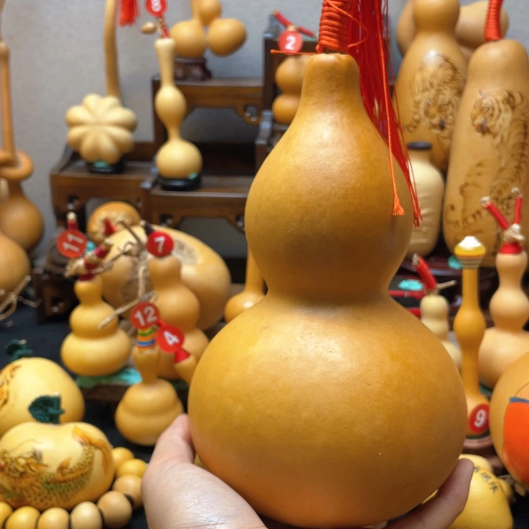 红****?大自然的秘密第十一节你是谁