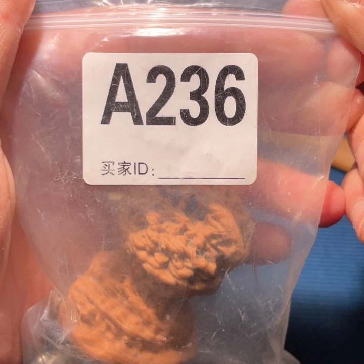 文玩核桃把件236虎头
