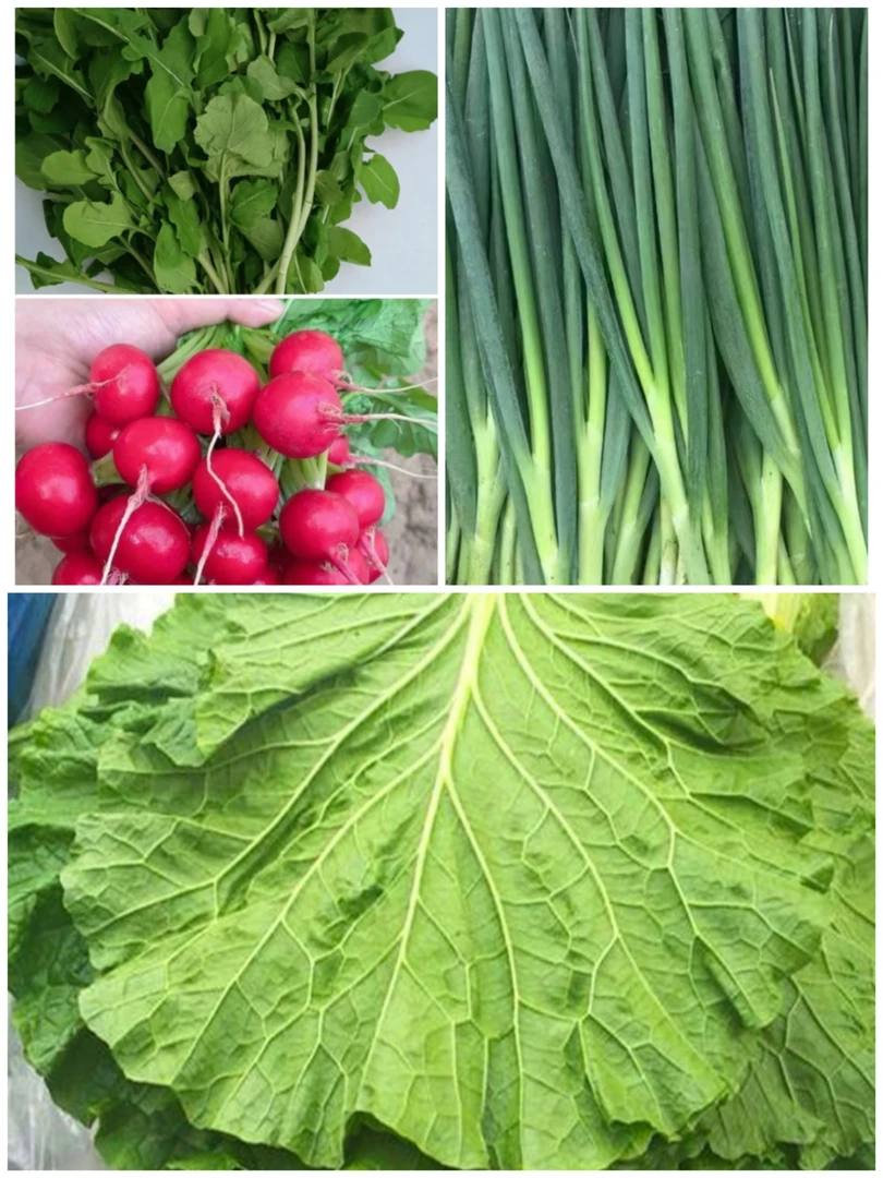 东北大白菜叶蘸酱菜，小葱萝卜丁臭菜。