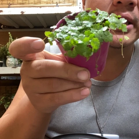 红陶管一物一拍所见即所得185