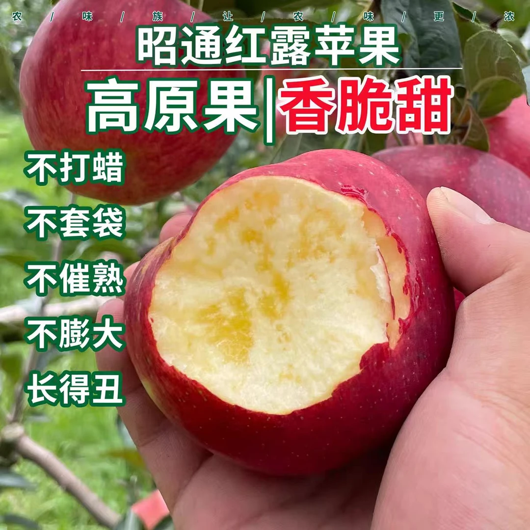 云南昭通红露丑苹果新鲜现摘脆甜多汁产地直发应季水果多仓发货