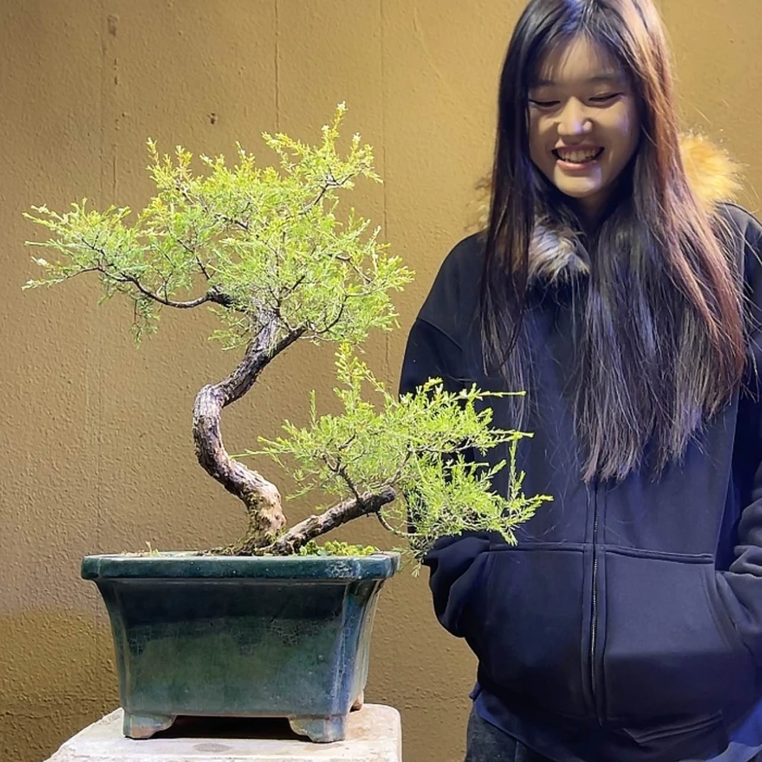 【闪购商品】完全开放玖**柒