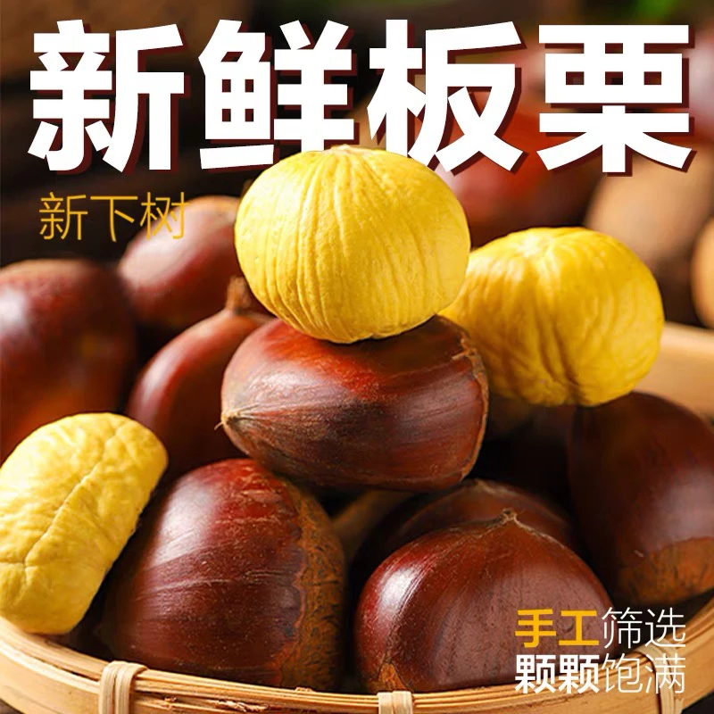 （买3斤送2斤）板栗坏果包赔新果难剥皮非油栗子锥栗丹东板栗送爪