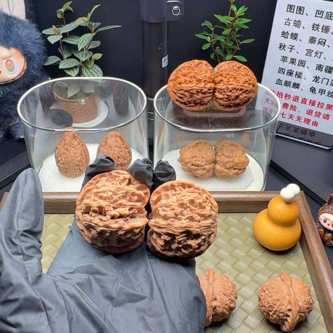 江***晏吊坠龙脊菩提全品苹果园
