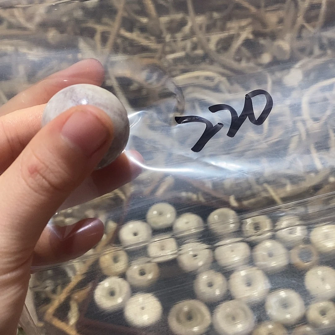 我***克非金属鹿角鹿鹿角