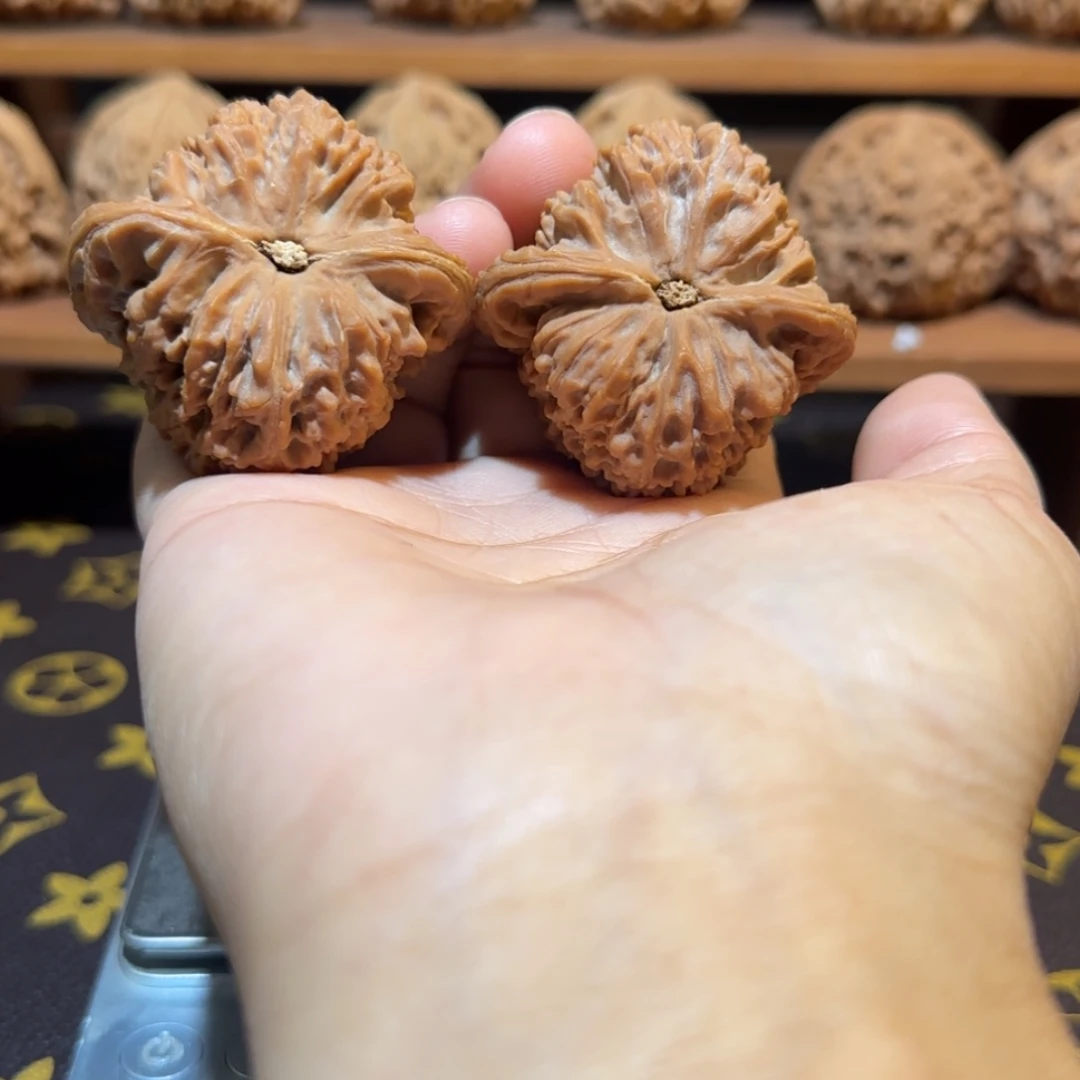 ᝰ***ꪝ桃核吊坠核桃核桃