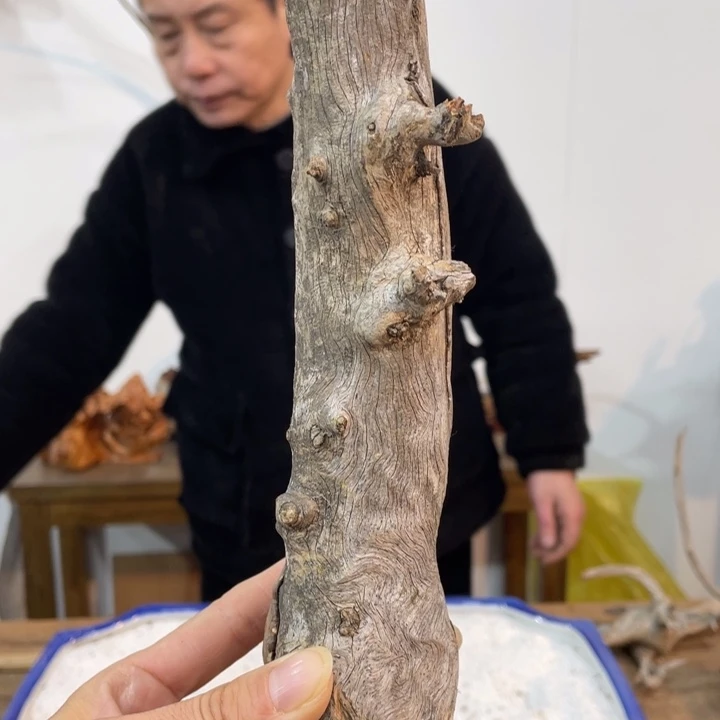 牧*人我们都是好孩子呀