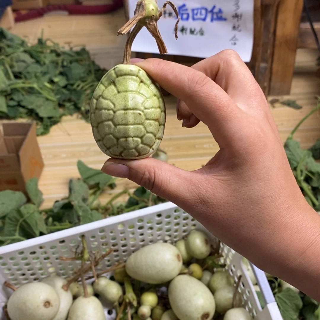 不昧老板的专属前拍