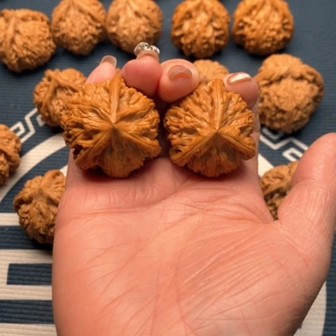 橄榄核手串/手链文山36全品