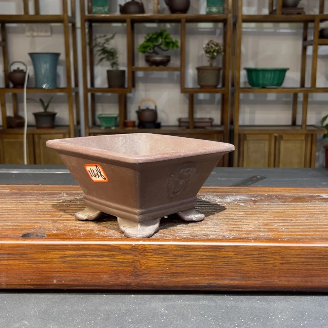 全部花苞紫砂花盆