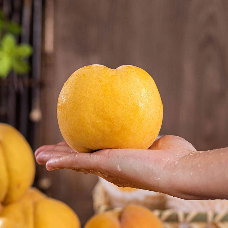 山东蒙阴锦绣黄桃