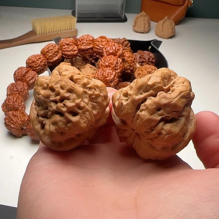 39-43-34肌肉蛙蟾型好开背B46号