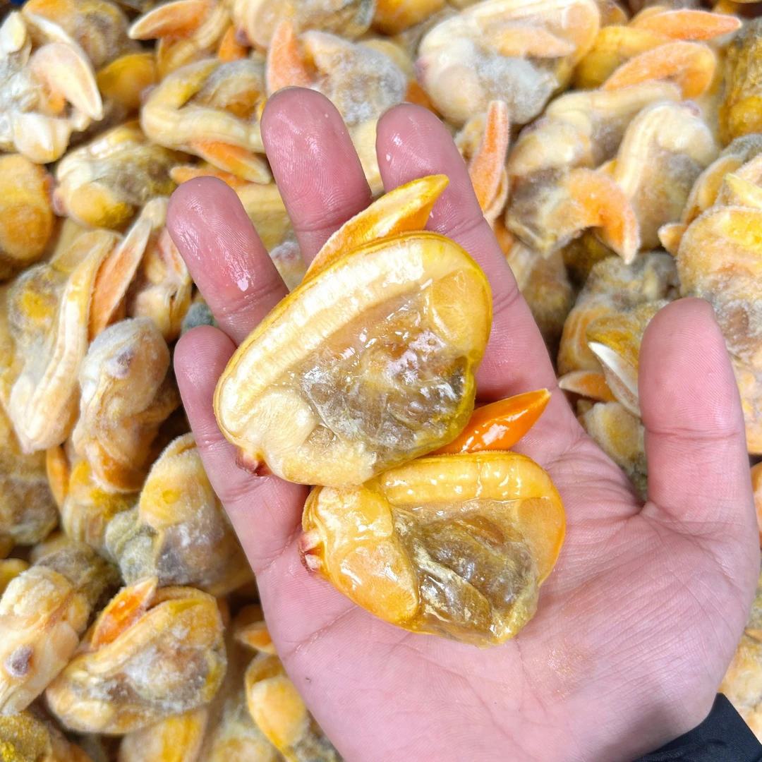 丹东黄海大文贝肉 即食海鲜 冷冻发货 2斤包肥 现货现发