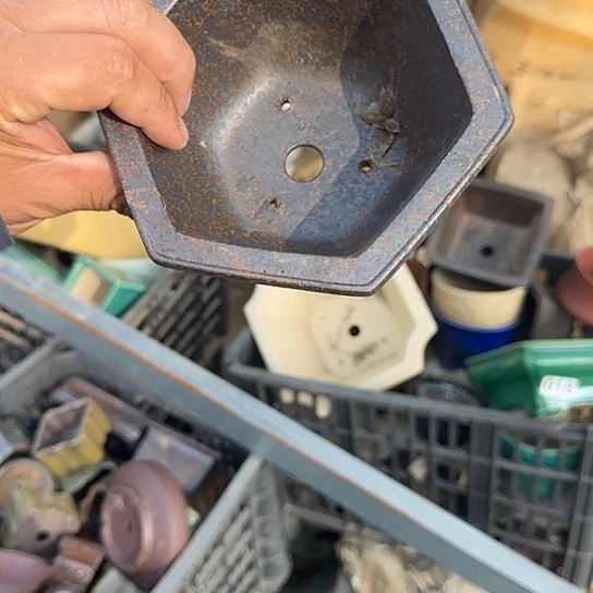 这几句真的好好啊哈哈好好听我