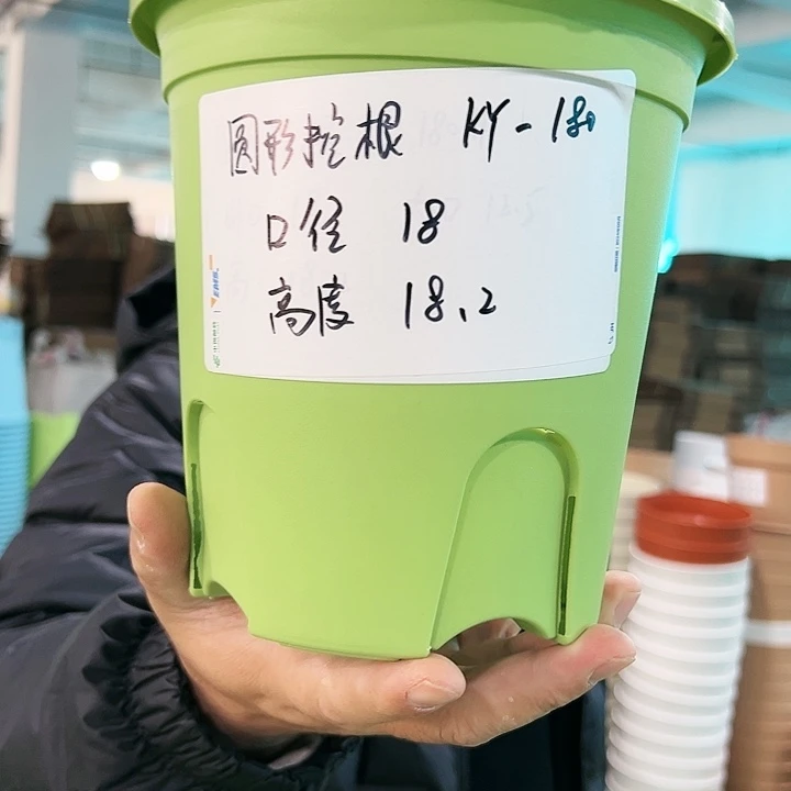 正品圆控口18高18果绿色8个无托