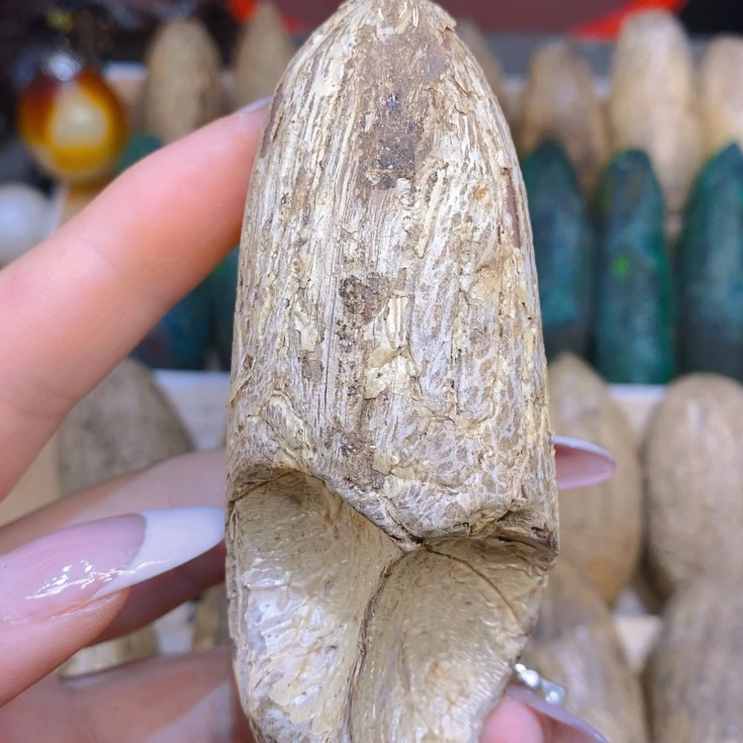 木手磨异性千眼菩提