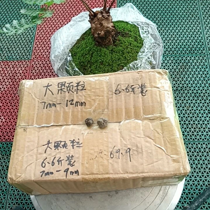 用***3兰菌颗粒   大颗粒6.6斤