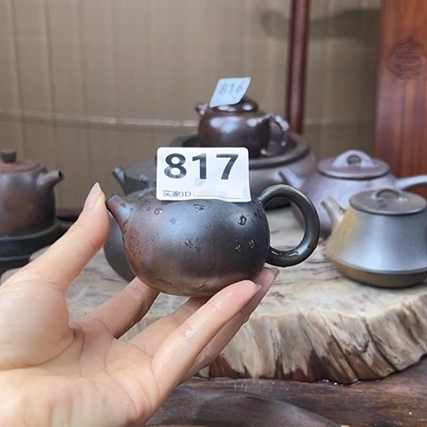 戬谷龙窑坭窑柴烧壶817