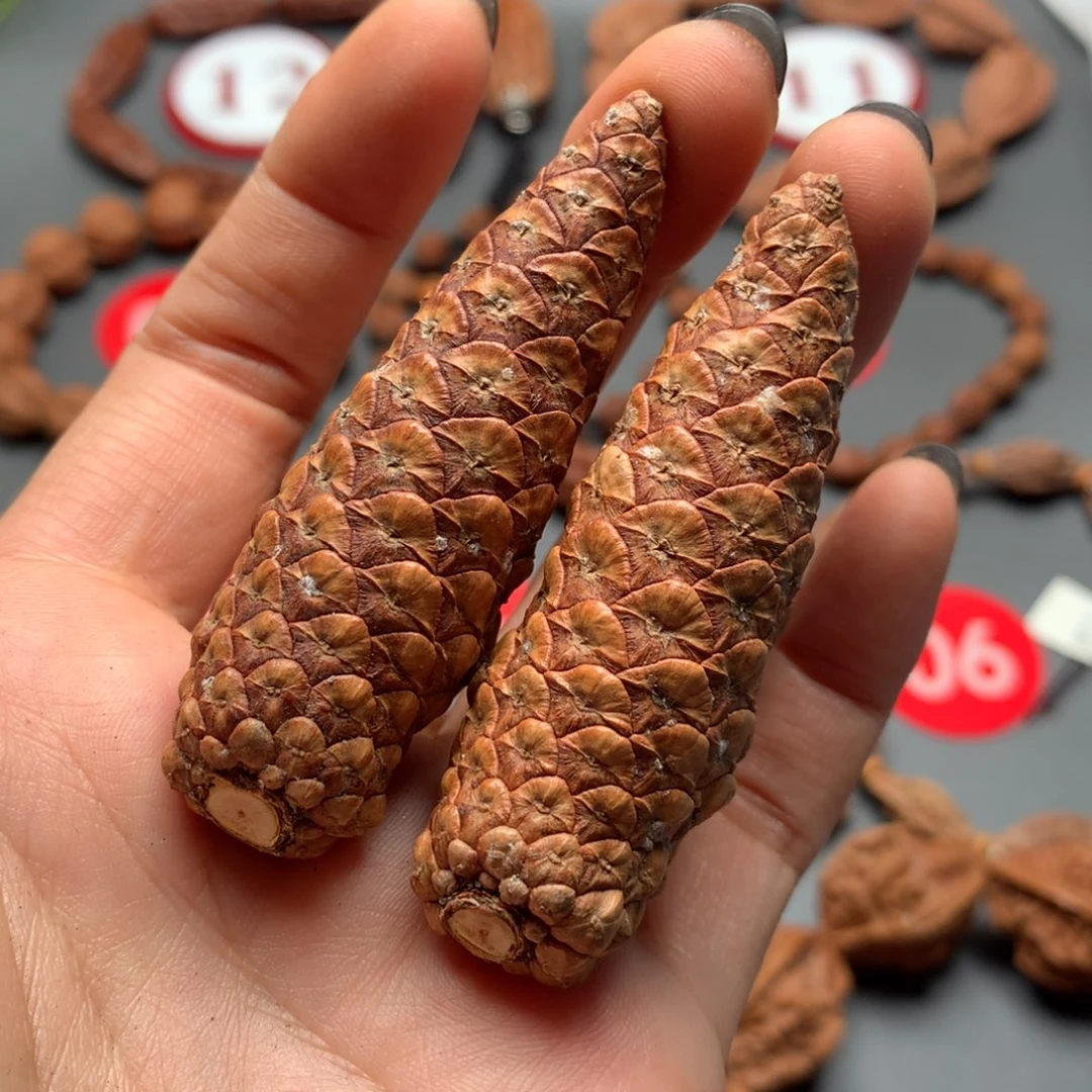 核桃18龙鳞凤爪松塔