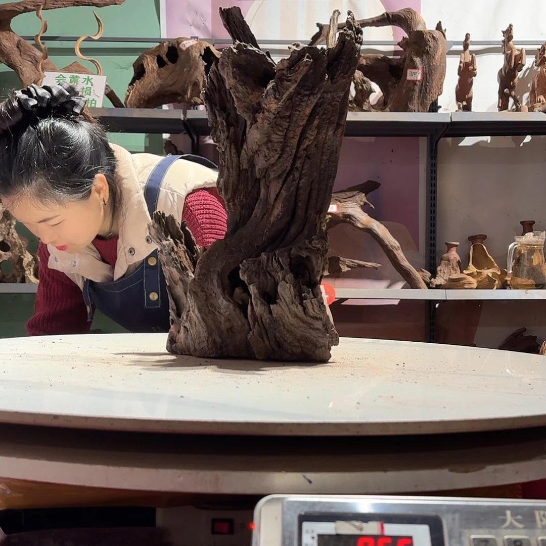 倍诸沉木不包损必褪色?****࿐7222