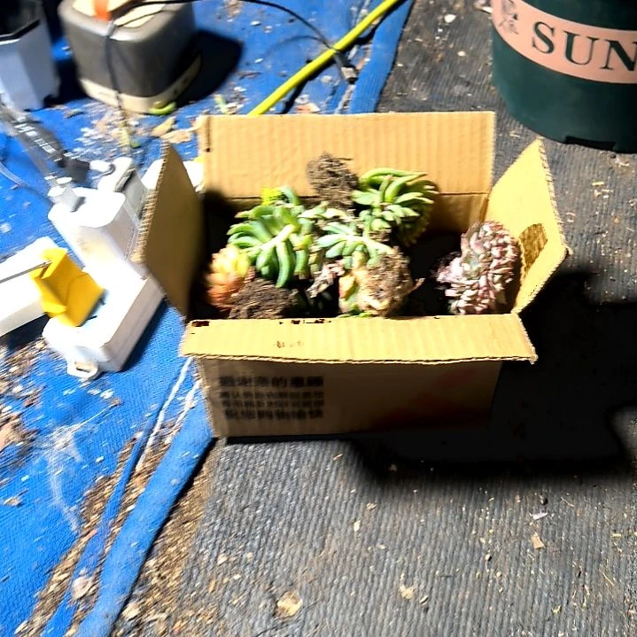 ?****手满9元包邮，，一箱子缀化