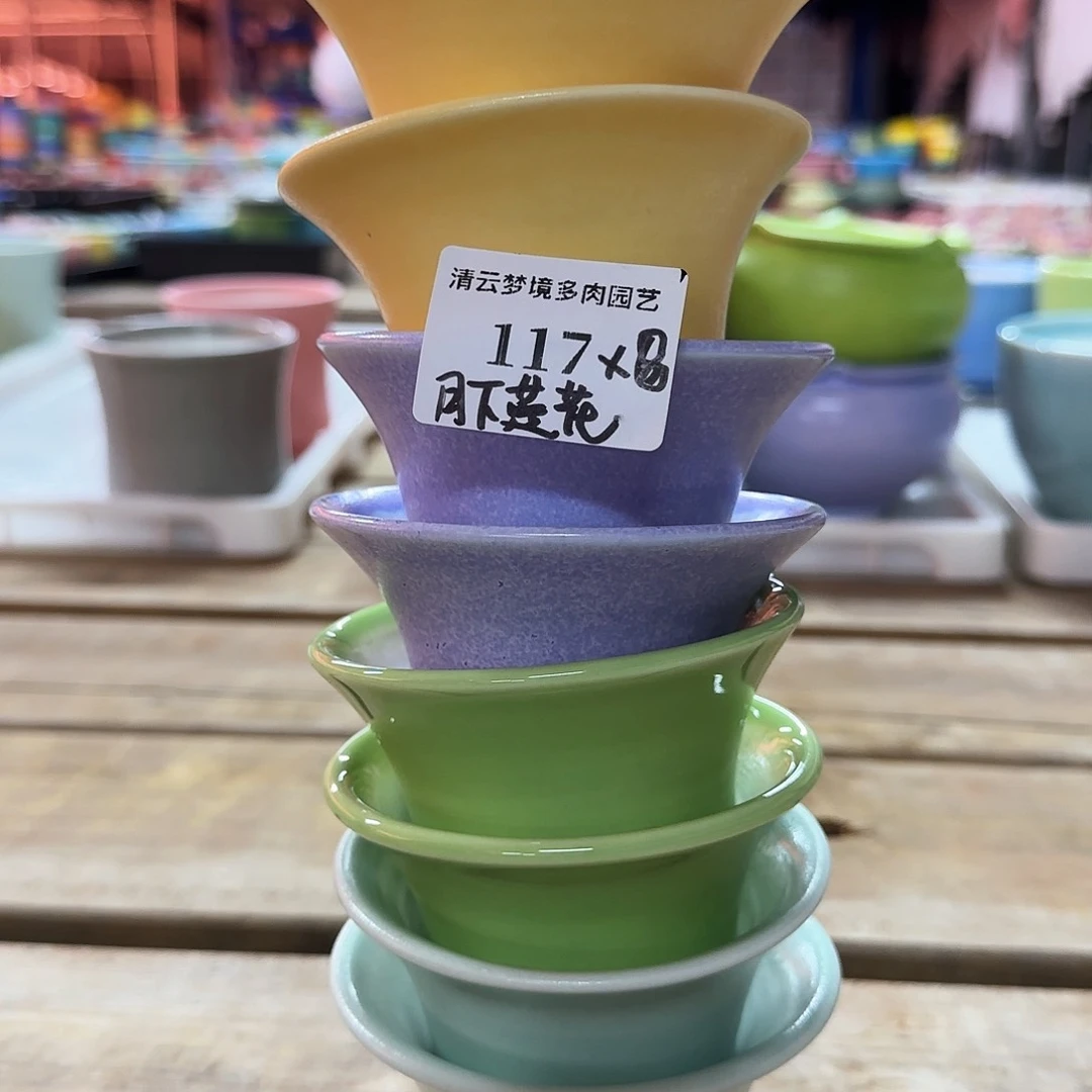 【闪购商品】红陶月***花小莲花。117。8个