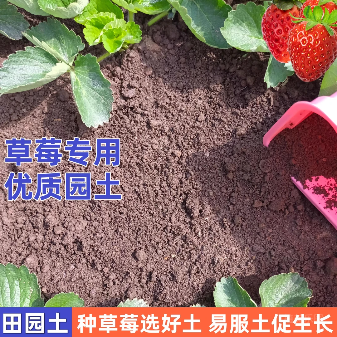 草莓专用土田园土瓜果蔬菜通用土草莓盆栽专用土草莓土壤田园泥土