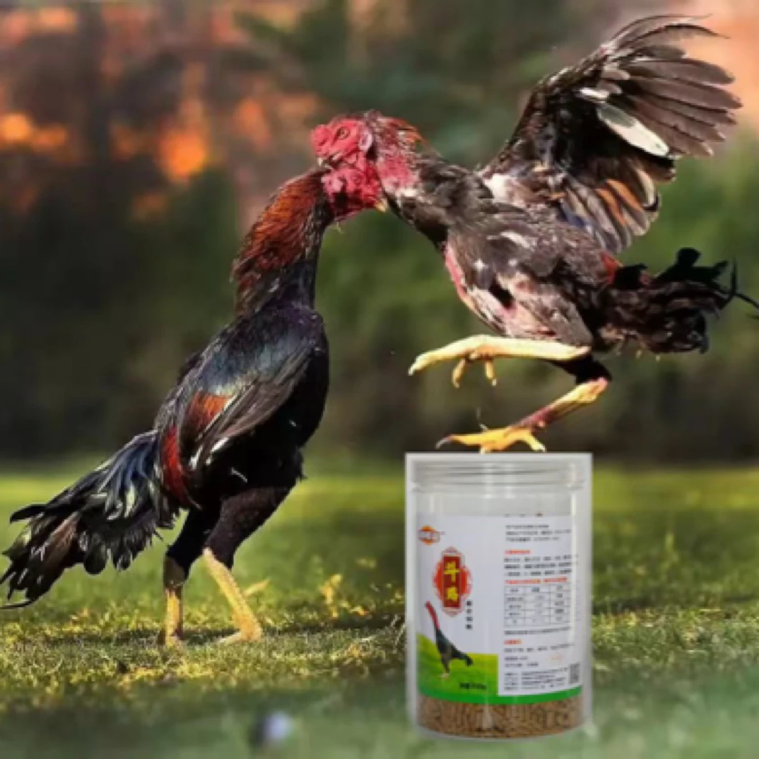 斗鸡专用打料增强抗打饲料比赛强筋健骨训练补红粮食高蛋白强筋骨