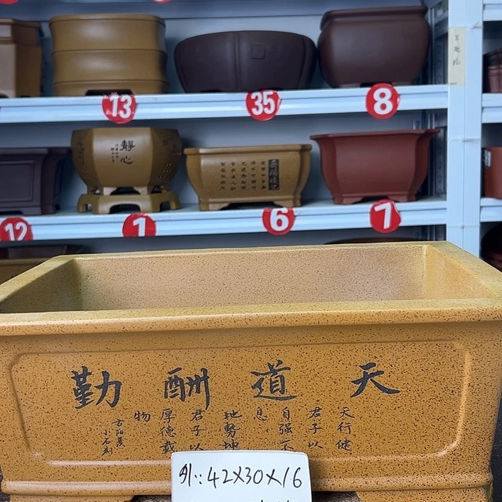 花盆紫砂你在一起