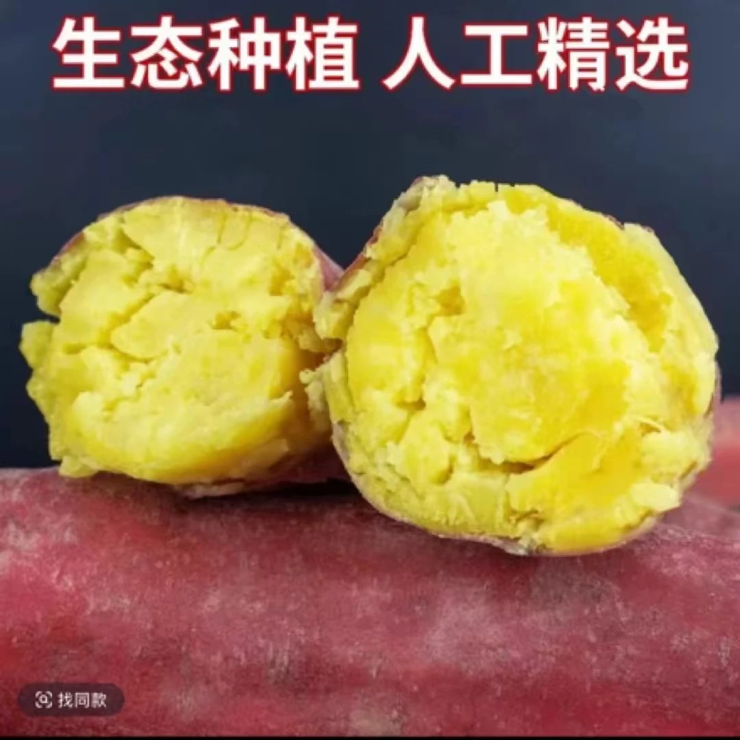 【买3斤送2斤】正宗红薯蜜薯粉糯香甜饱满皮薄现挖