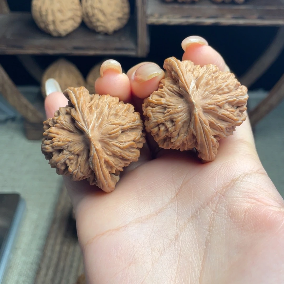 木质四座楼43 全品白茬精配毕业红皮