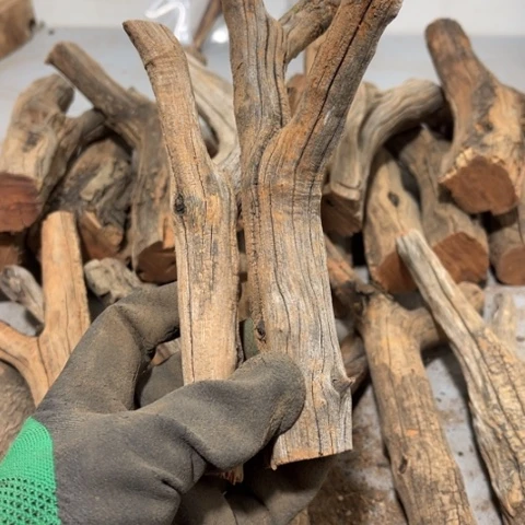 大果紫檀（缅甸花梨）康*